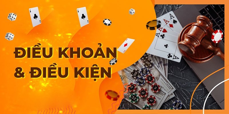 Điều khoản điều kiện là gì?